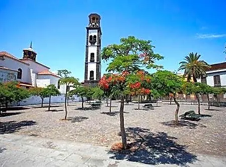 Nautico